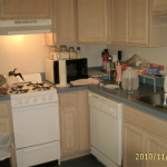 l-shape-kitchen-2
