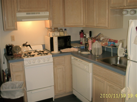 l-shape-kitchen-2