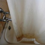 shower_option6