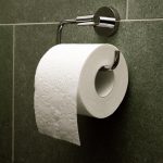 toilet10