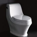 toilet4