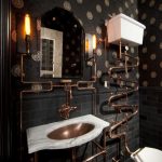 toilet6