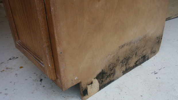 get-rid-of-mold-kitchen-furniture-cabinets-drawers
