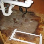 water-damage-kitchen-sink-leak