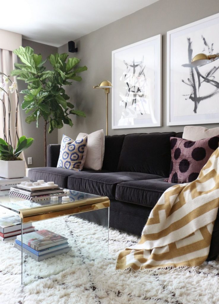 plant-must-have-accessories