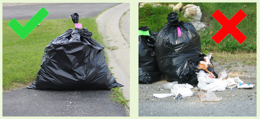 trash
