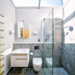 shower-with-natural-lighting-skylight