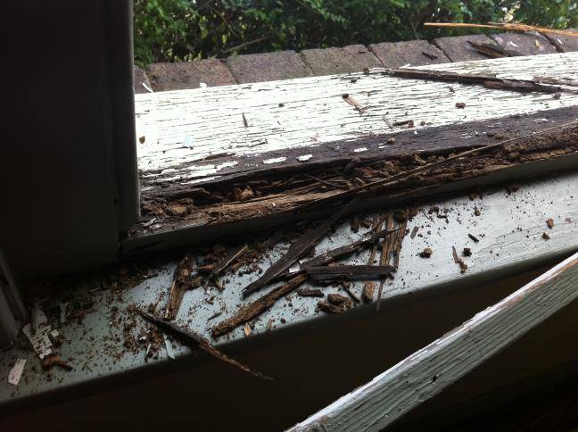 destroyed-rotting-wooden-window-frame-needing-replacement