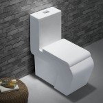 A ultra modern, fashionable, and practical toilet
