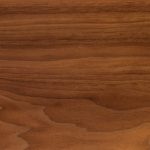 Sample of walnut
