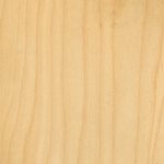 Sample of maple wood