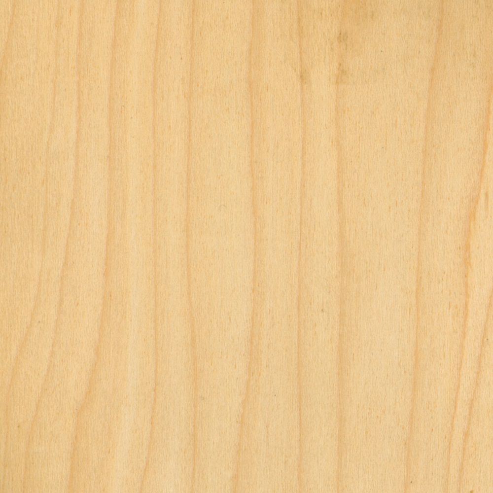 sample-of-Maple-in-its-finest-form